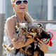 Paris Hilton Loves Doggie Style; David Carradine Loved "Elaborate Sexual Devices"